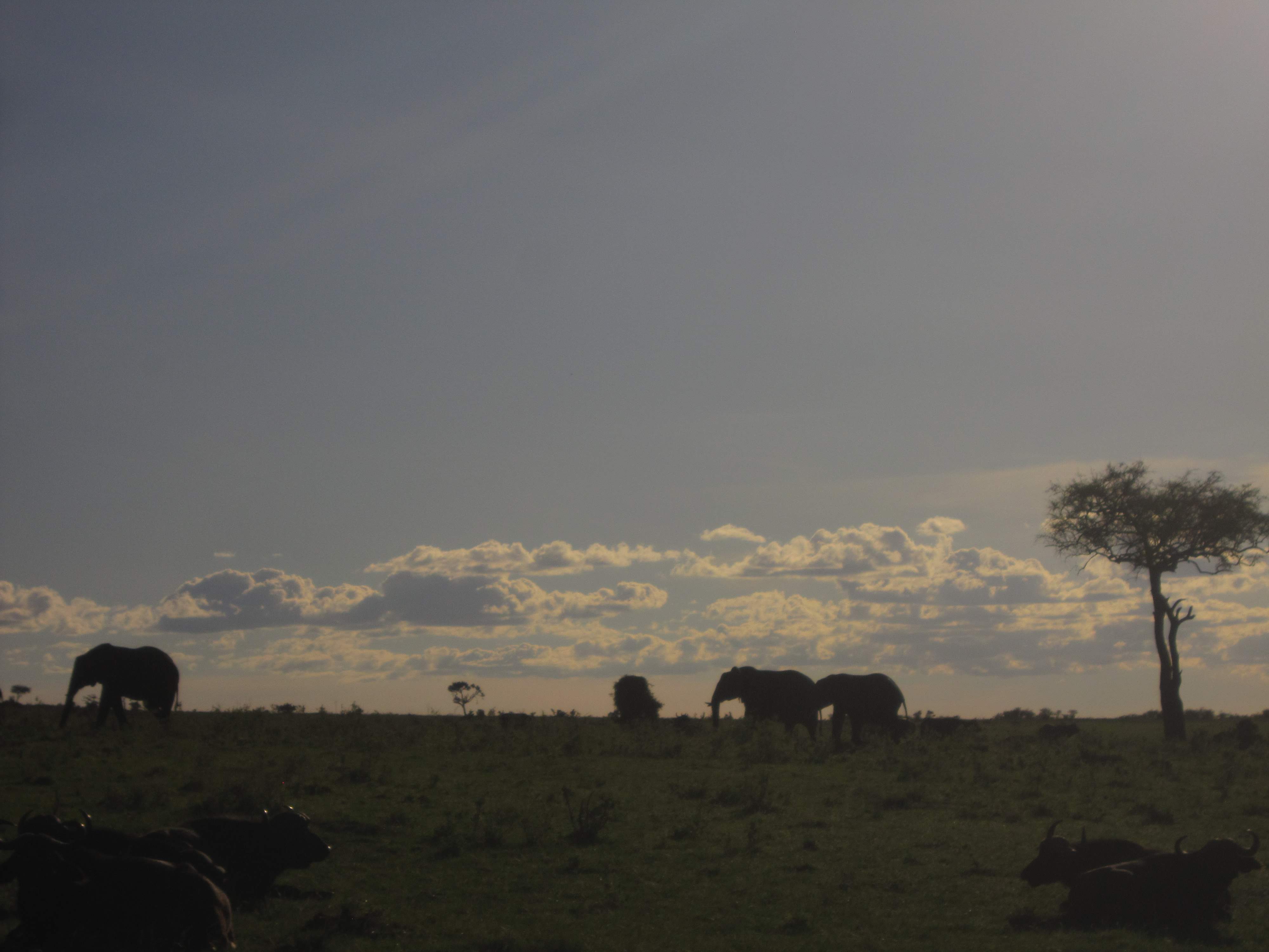 Samburu National Reserve
